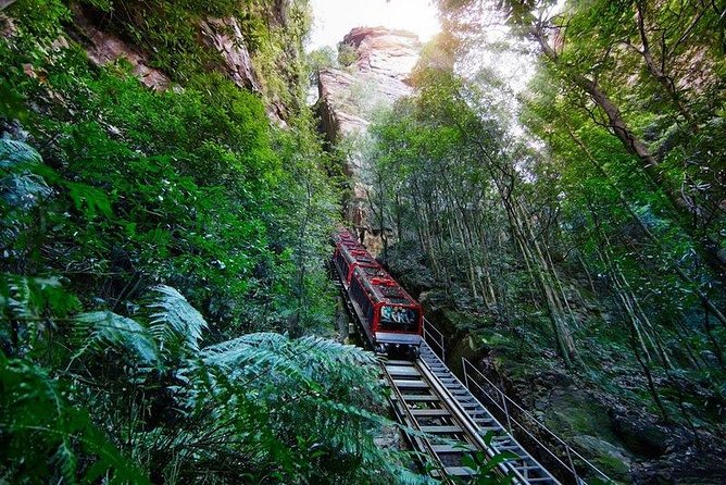 Fully Inclusive Blue Mountains Private Tour inc Scenic World & Featherdale Entry - The Giant Stairway, Three Sisters, and Echo Point
