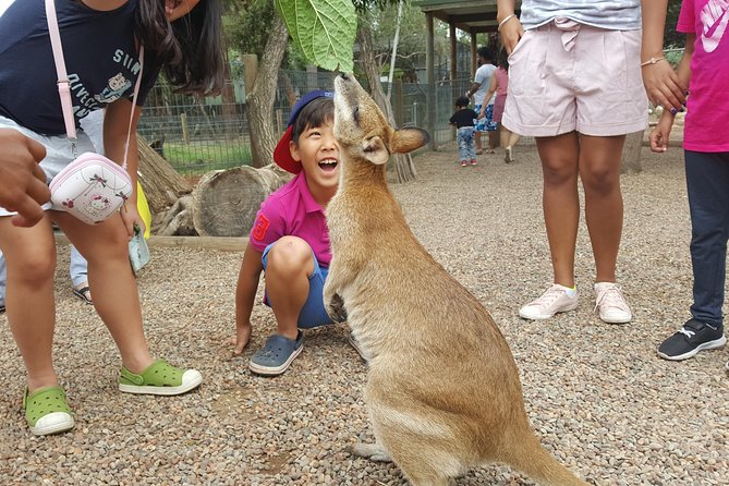 Fully Inclusive Blue Mountains Private Tour inc Scenic World & Featherdale Entry - A lunch break in Leura