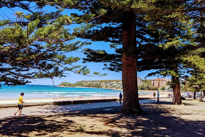 Golden Beaches and Ocean Vistas MANLY AND NORTHERN BEACHES PRIVATE TOUR - Key points at a glance