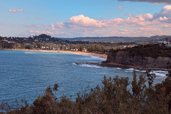 Golden Beaches and Ocean Vistas MANLY AND NORTHERN BEACHES PRIVATE TOUR - Manly gives the day its central pause