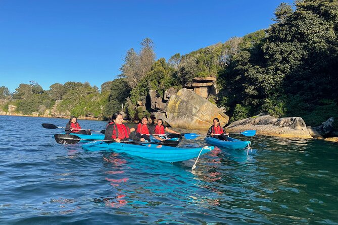 Guided Kayak Tour of Manly Cove Beaches - Key points to know before you book