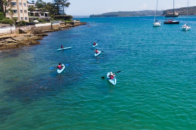 Guided Kayak Tour of Manly Cove Beaches - Quarantine Beach, the longest shore stop
