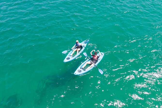 Guided Kayak Tour of Manly Cove Beaches - Store Beach and the quiet cove route