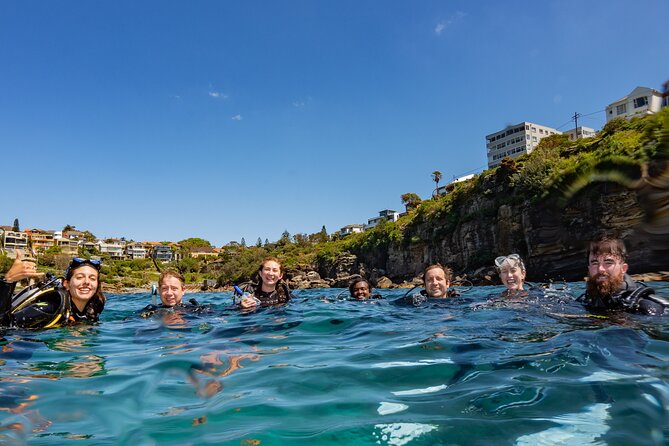 Guided Snorkeling Experience in Bondi - What the four-hour Bondi outing is really like
