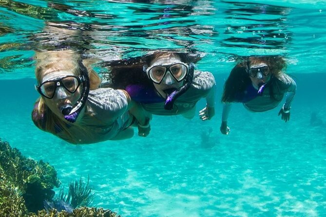 Guided Snorkeling Experience in Bondi - Choosing between Gordons Bay, Clovelly Pool, Little Bay, and Malabar Beach