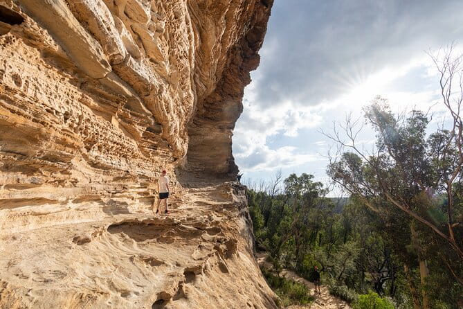 Guided Walking Tour in the Blue Mountains - Hidden Treasures - Why this Blue Mountains day feels different