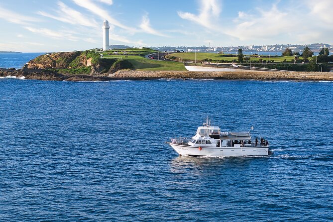 Half-Day Deep Sea Fishing in Wollongong - Weekdays only - Fishing Between Stanwell Park and Shellharbour