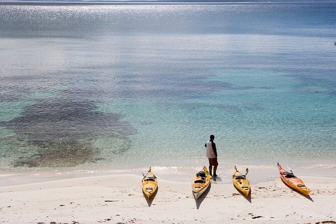 Half-Day Jervis Bay Sea Kayak Tour - Why seeing Jervis Bay by kayak matters