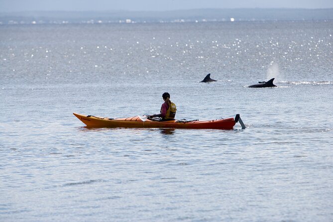 Half-Day Jervis Bay Sea Kayak Tour - Starting in Huskisson at 7:45 am