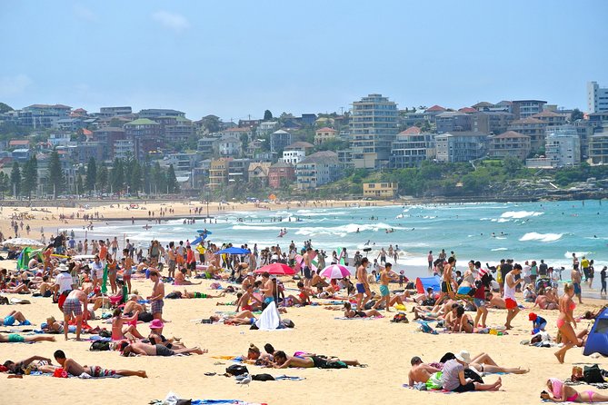 Half-Day or Full-Day Private Guide Hire From Sydney - Choosing between four hours and a full day