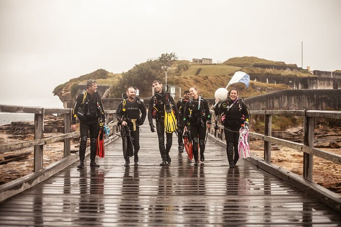 Half-Day Private Discover Dive at Australia's Iconic Beach - Key points to know before you book