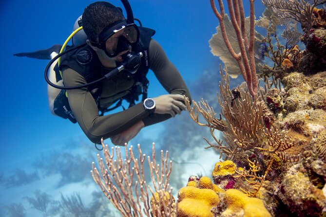 Half-Day Private Discover Dive at Australia's Iconic Beach - Moving from the centre to the ocean