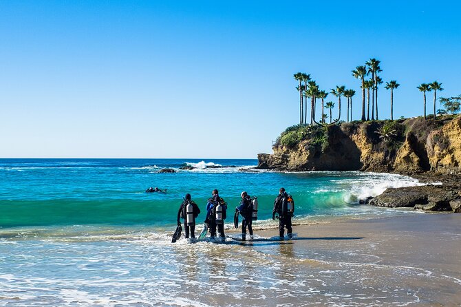 Half-Day Private Discover Dive at Australia's Iconic Beach - Looking for Sydney’s underwater wildlife