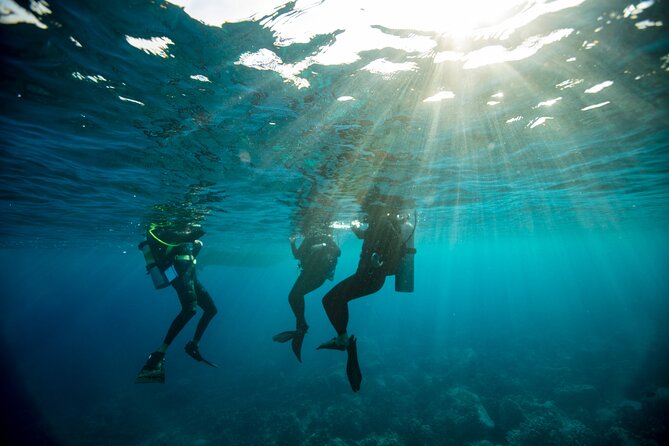 Half-Day Private Discover Dive at Australia's Iconic Beach - Why the two-person limit matters