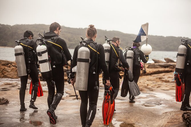 Half-Day Private Discover Dive at Australia's Iconic Beach - Is $376.55 a fair price?