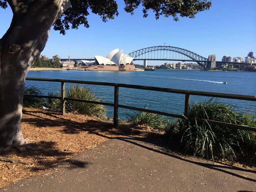 Half Day Small Group : The Story of Sydney Tour - Paddington, Darlinghurst, and Sydney’s street life