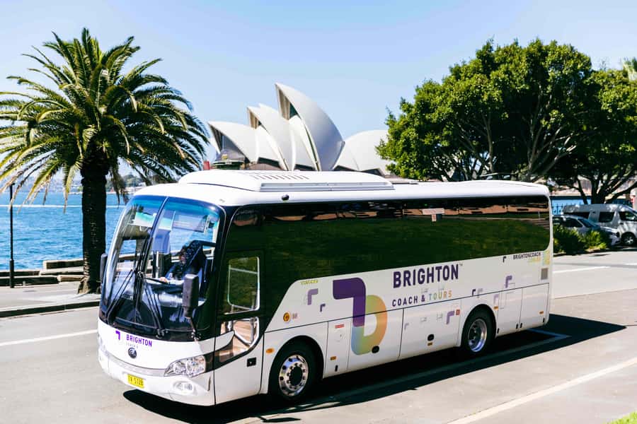 Half Day Sydney Sightseeing Tour - The Rocks & Bondi Beach - Practical timing and booking advice