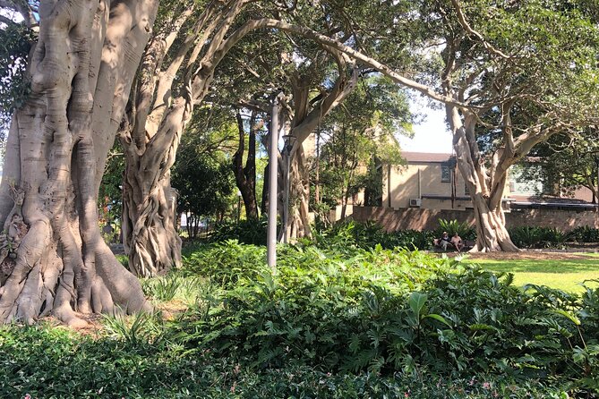 Historic Walking Tour of Glebe - What $28.69 gets you