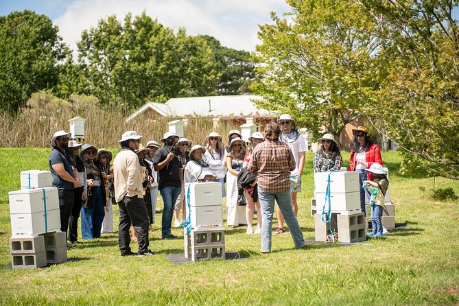 Honey Farm Tour. Morning Tea. Guided Tasting - A Bee Tour With a View Across Retford Park
