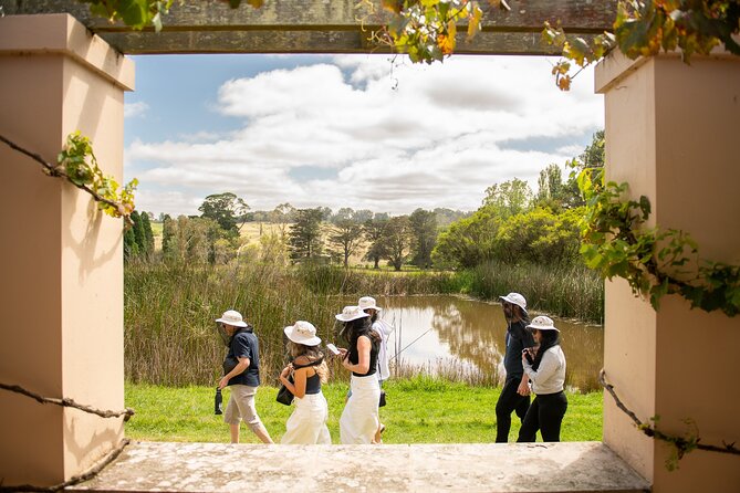 Honey Farm Tour. Morning Tea. Guided Tasting - The Terrace Makes the Morning Tea Matter