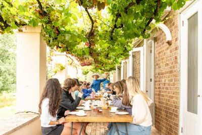 Honey Farm Tour. Morning Tea. Guided Tasting