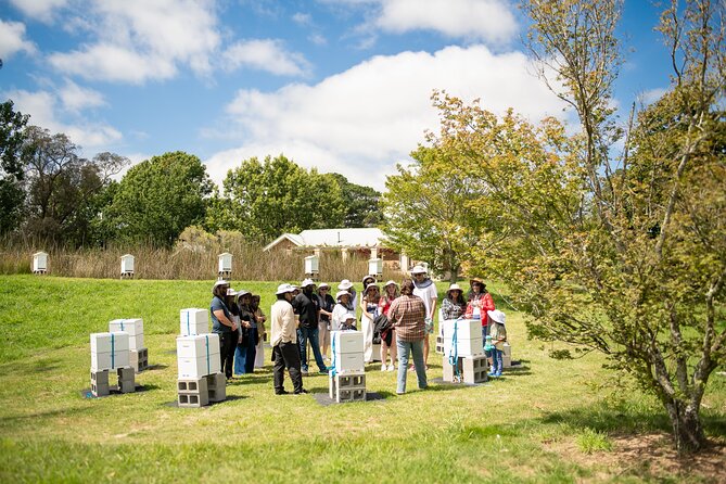 Honey Farm Tour. Morning Tea. Guided Tasting - Practical Advice Before You Go