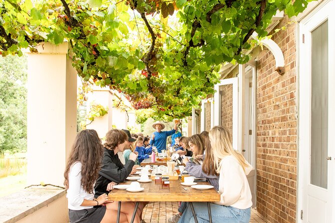 Honey Farm Tour. Morning Tea. Guided Tasting - The Empty Flow Hive Explains Modern Beekeeping