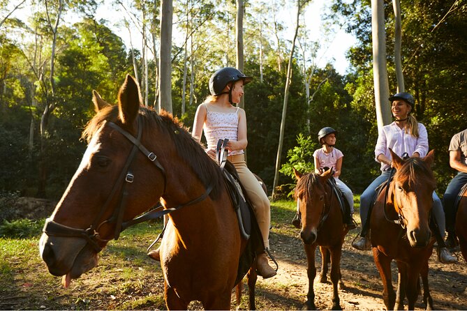 Horse Riding, Koalas & Kangaroos - Wild Australia: Private Tour - Lunch, transport, and the real value of the price