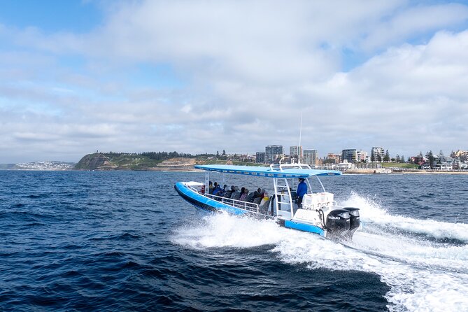 Humpback Whale Encounter Tour from Newcastle - Leaving Newcastle Harbour for the Hunter Coast