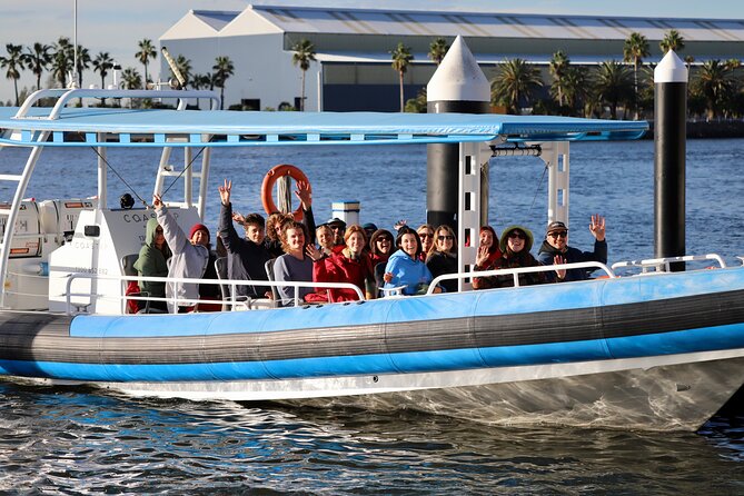Humpback Whale Encounter Tour from Newcastle - What the two-hour format gives you