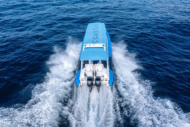 Humpback Whale Encounter Tour from Newcastle - Who will enjoy this cruise most?