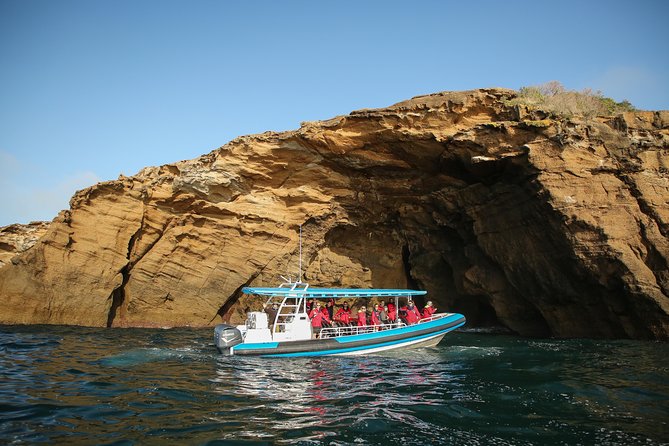 Hunter Coastal Adventure Tour by Boat from Newcastle - Key points to know before you book