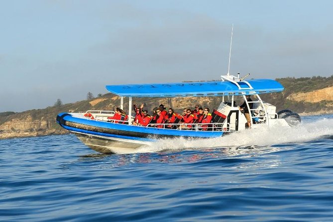Hunter Coastal Adventure Tour by Boat from Newcastle - Why the offshore view changes the coast