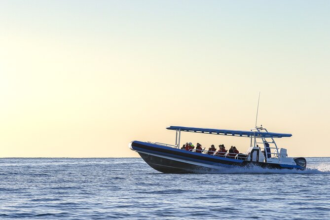 Hunter Coastal Adventure Tour by Boat from Newcastle - Guide commentary is a central part of the value