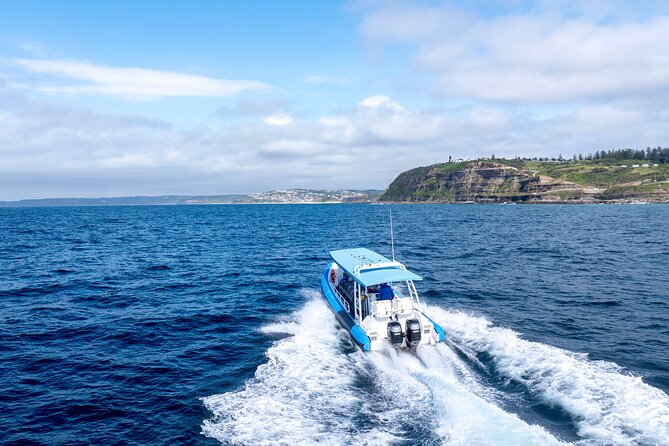 Hunter Coastal Adventure Tour by Boat from Newcastle - Accessibility, children, and group size