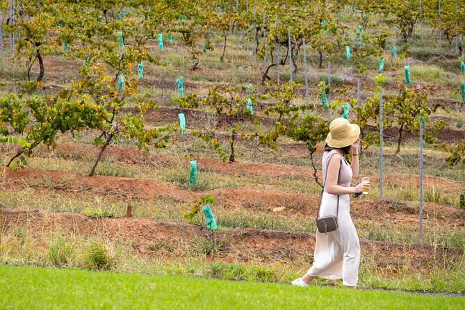Hunter Valley All Inclusive, Wine, Chocolate Tasting and Lunch - Hunter Valley Gardens for a short break