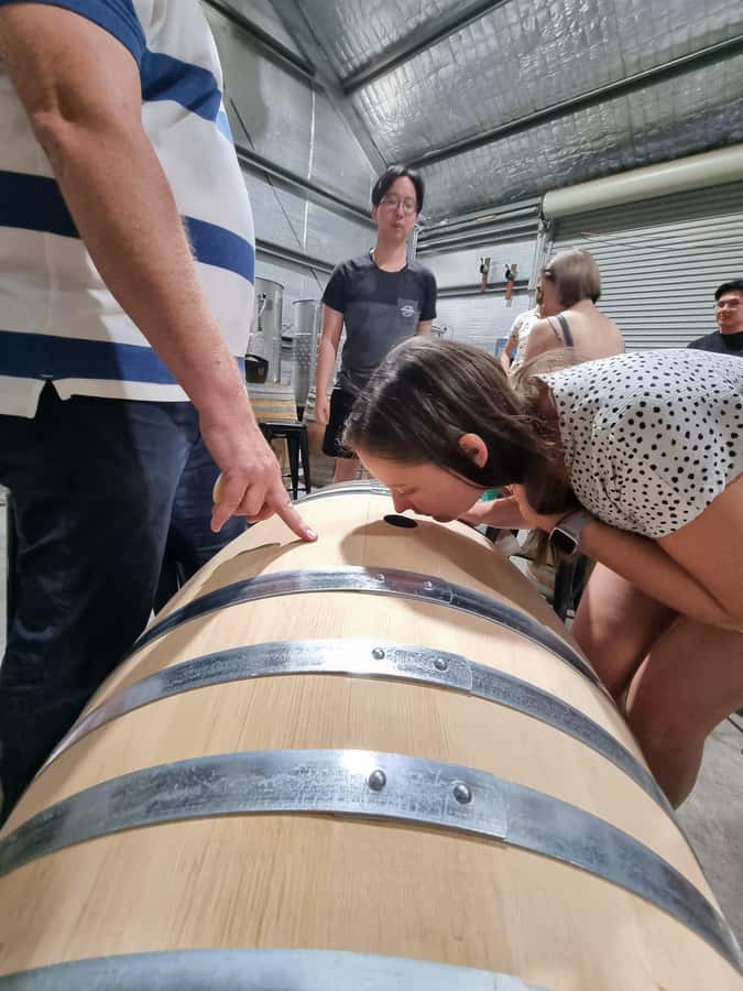 Hunter Valley: Beer & Wine Group Tour - What the six-and-a-half-hour schedule feels like