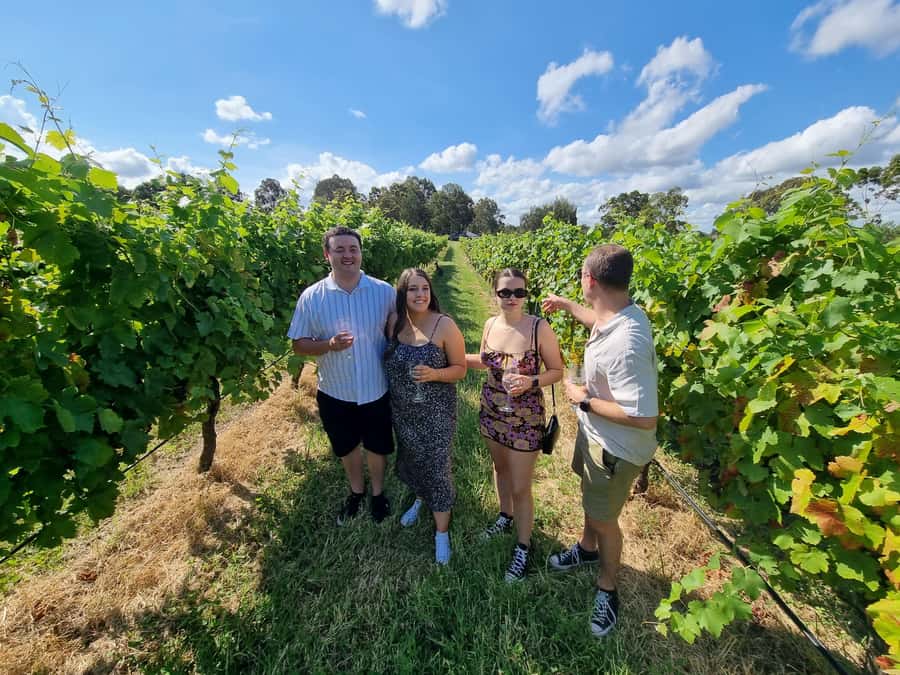 Hunter Valley: Beer & Wine Group Tour - Starting in Pokolbin with a scenic 15-minute ride