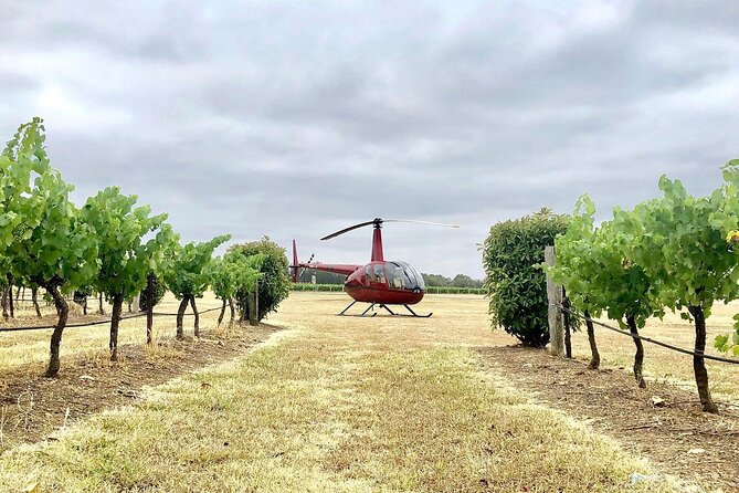 Hunter Valley Helicopter Tour with a Bubbly Breakfast - Seeing vineyards and ranges from the air