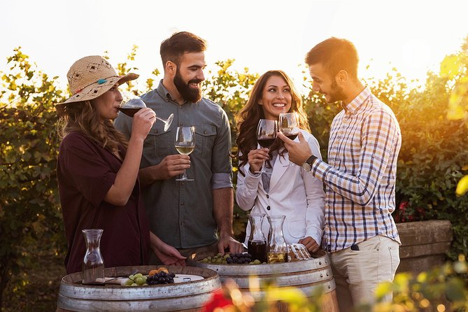Hunter Valley Highlights Private Wine Tour from Sydney - Key points at a glance