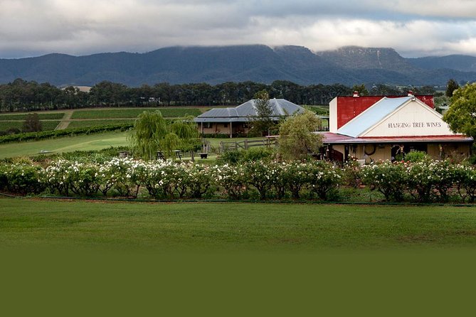 Hunter Valley Highlights Private Wine Tour from Sydney - Hanging Tree Wines and a schedule worth clarifying