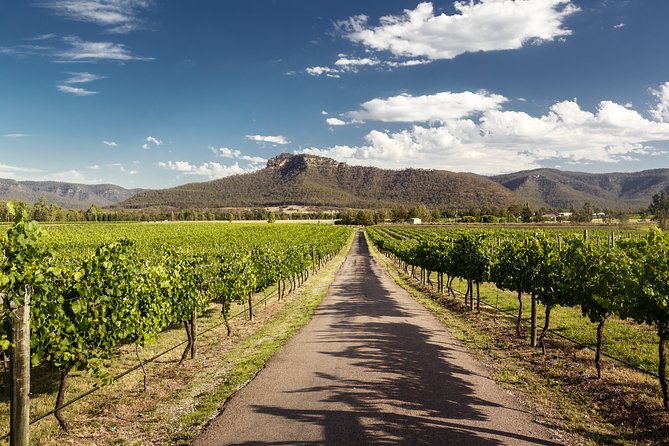Hunter Valley Highlights Private Wine Tour from Sydney - The private tasting at Capercaillie Wines