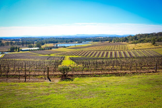 Hunter Valley Private Tour - Cheese, chocolate, spirits, gardens, and markets
