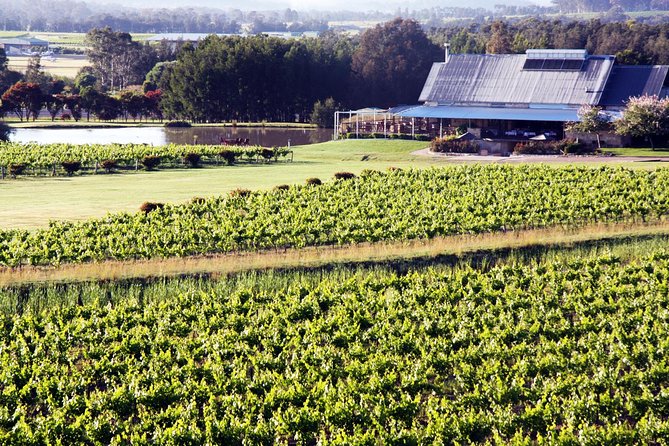 Hunter Valley Private Wine Tasting Tour from Sydney - Key points to know before booking
