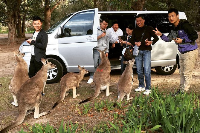 Hunter Valley Private Wine Tasting Tour from Sydney - Second winery: Shiraz, Semillon, and up to 10 wines