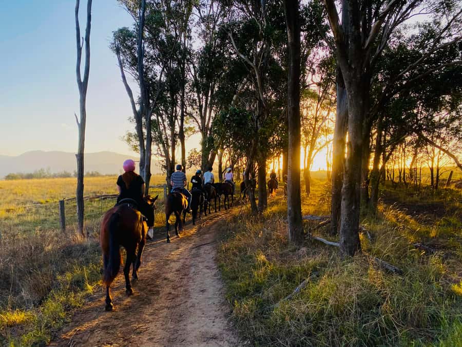 Hunter Valley: Sunset Horse Riding Tour 90min - Meeting your horse at Hunter Valley Resort