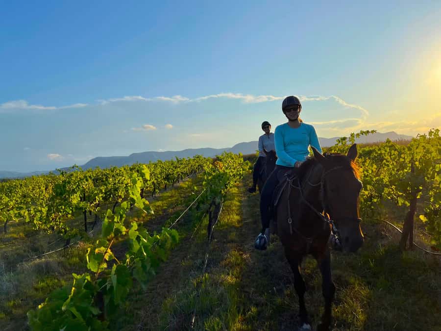 Hunter Valley: Sunset Horse Riding Tour 90min - Bushland and farmland near Pokolbin