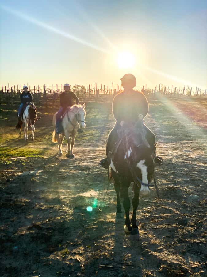 Hunter Valley: Sunset Horse Riding Tour 90min - What the 90-minute format really gives you