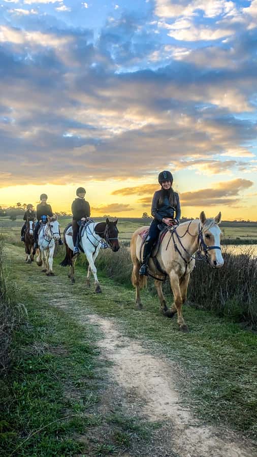 Hunter Valley: Sunset Horse Riding Tour 90min - Group size, guide support, and comfort