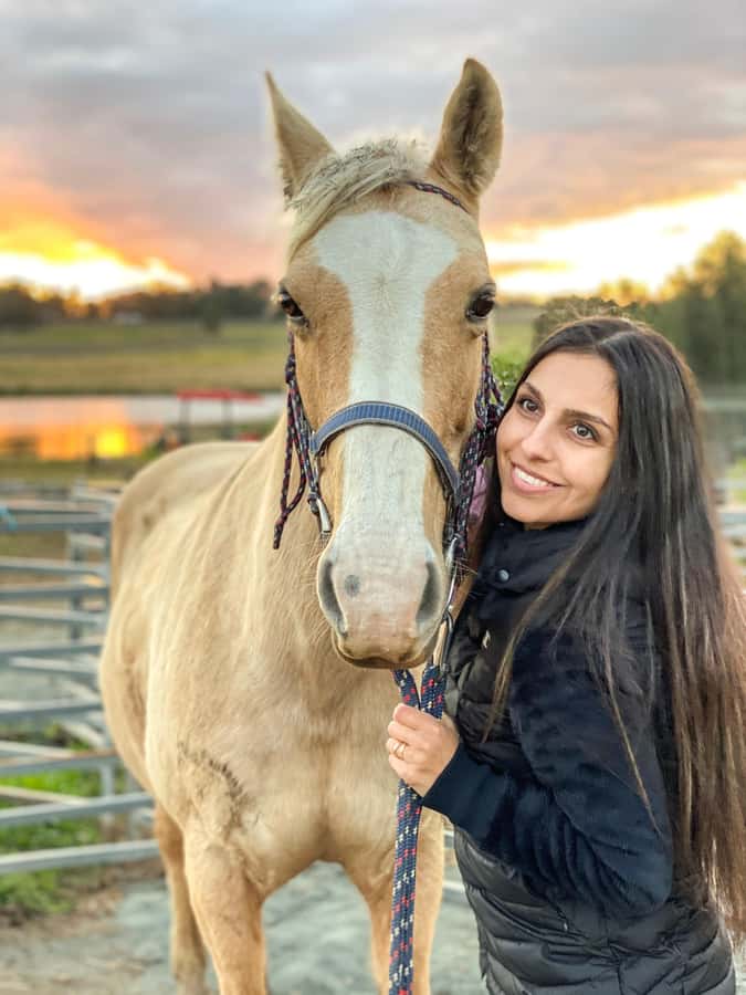 Hunter Valley: Sunset Horse Riding Tour 90min - Who should book this sunset ride?